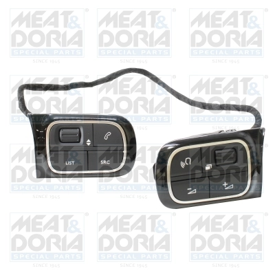 Multi-Function Switch